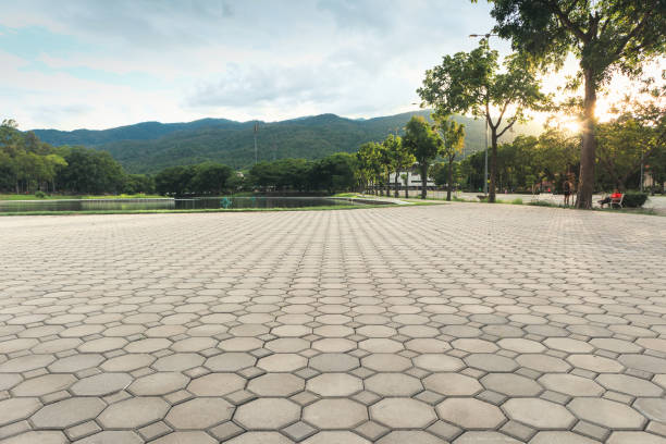 Best Permeable Paver Driveway  in Morrisville, NC