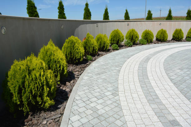 Best Interlocking Driveway Pavers  in Morrisville, NC